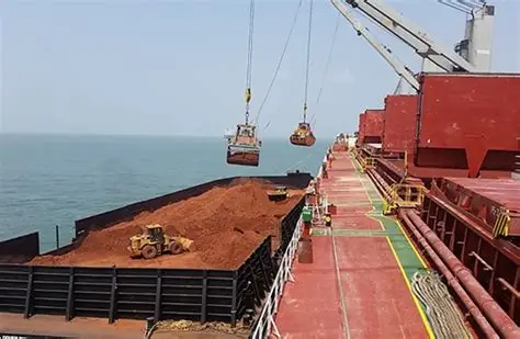 Bulk Cargo Handling